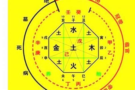 喜字五行|八字喜水是什么意思 – 八字喜水的基本含义